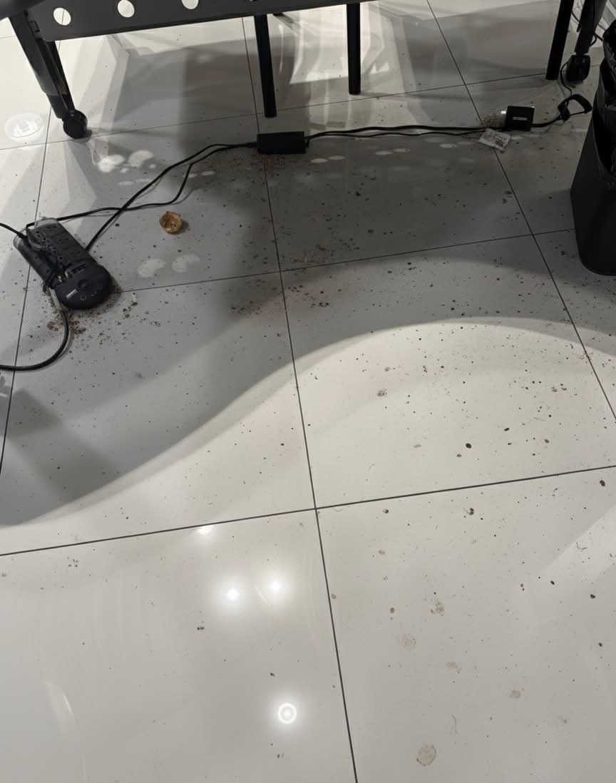 Showroom Before - Dirty floor
