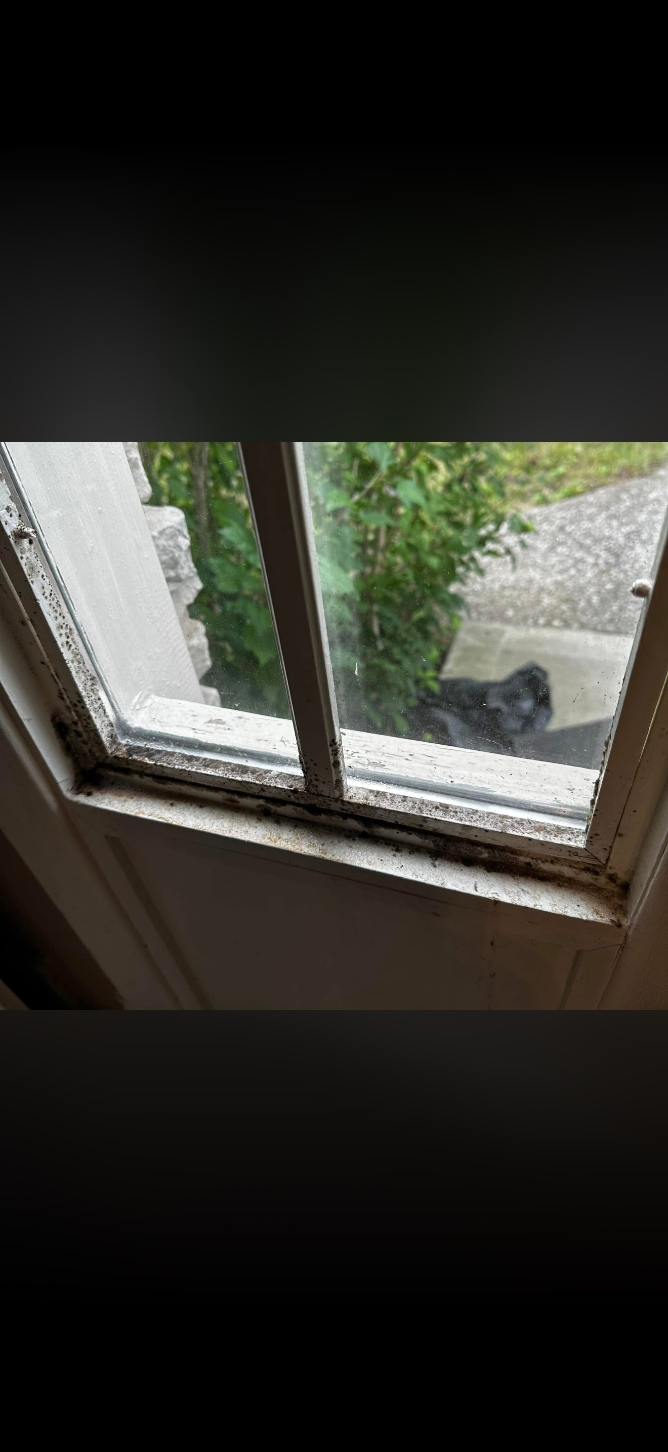 Window Before - Dirty frame